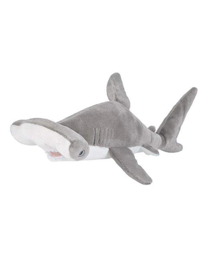 Hammer-Head-Shark