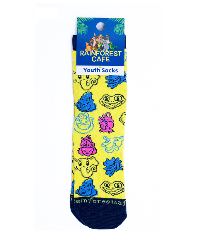 RFC-Wild-Bunch-Youth-Socks_9d5639bb-eeaf-4ce9-a7e1-7f8143d0272e