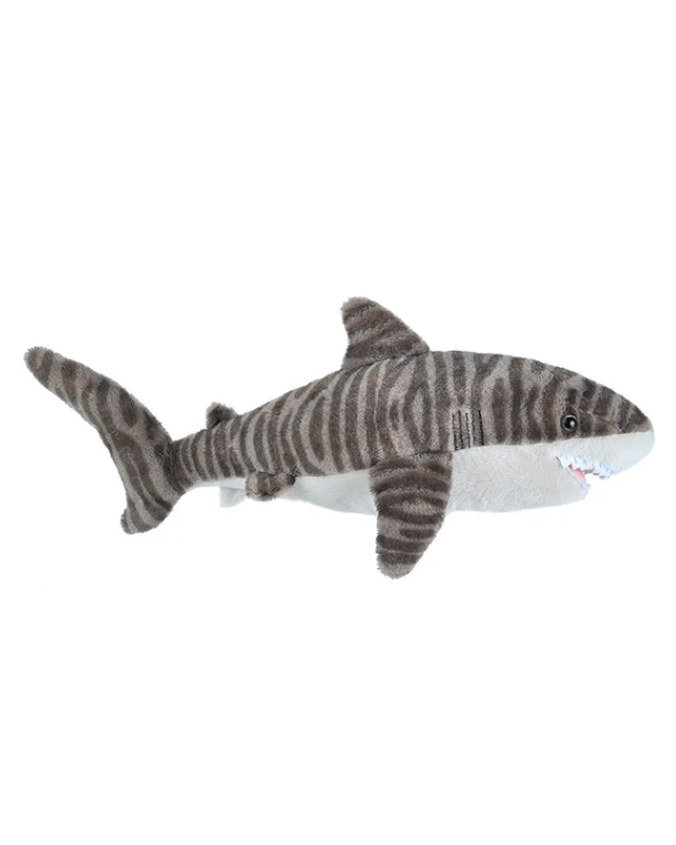 Tiger-Shark