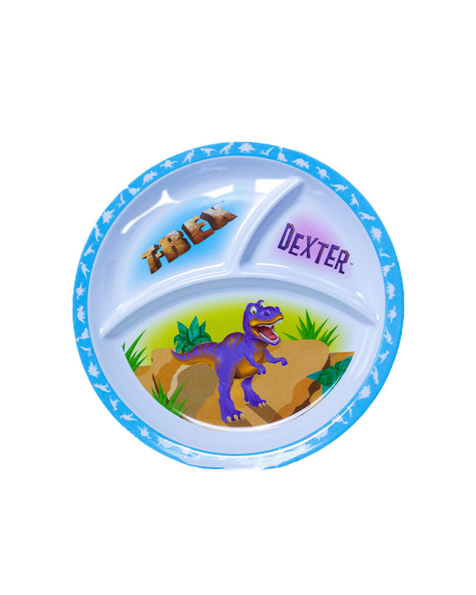 dexter-segmented-plate