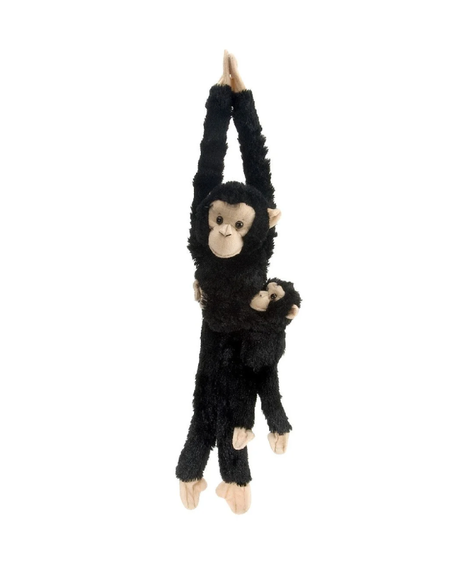 hangingbabychimp